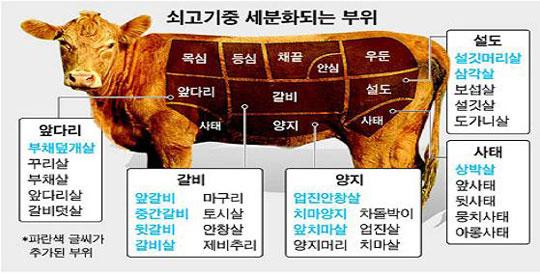 뿔난 한우 빗장 풀린 쇠고기 시장 '牛짤라고' < 경제/과학 < 기사본문 - 대전일보