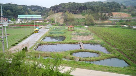 충남 홍성군 문당리 환경농업마을은 경제적 자립을 목표로 오리농법을 이용한 특화쌀 생산 등을 추진해 귀추가 주목된다. 사진은 홍성 문당리 환경농업마을 전경.