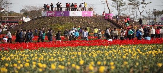  2012 태안 튤립 꽃 축제가 지난 8일까지 27만명의 관람객이 다녀가며 성황리에 막을 내렸다.  사진=태안시청 제공
