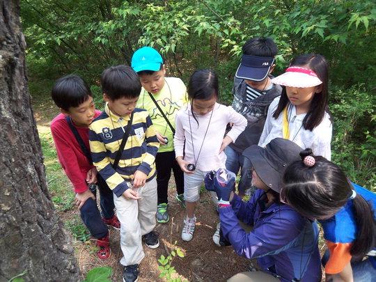  대전충남생태연구소 '숲으로'교사가 아이들과 생태교육 체험활동을 진행하고 있다.  사진=숲으로 제공