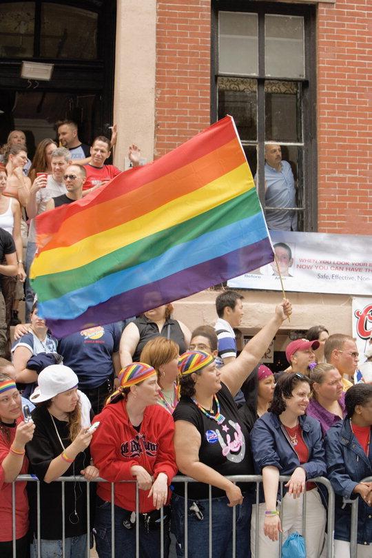  무지개 깃발은 동성애자와 동성애 문화를 상징하는 대표적 표식으로 오늘날 다양성의 상징이 되었다. 게이퍼레이드에 참석한 사람들이 무지개 깃발을 들고 환호하고 있다.

