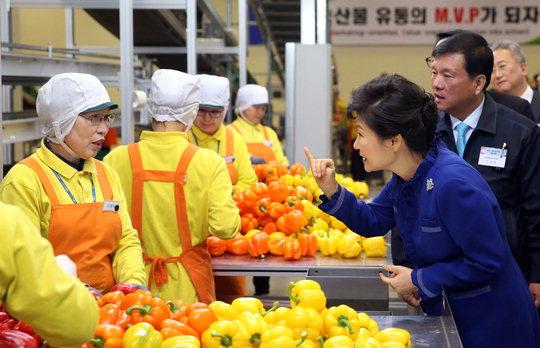  박근혜 대통령이 19일 오후 경기도 안성시 안성 농협 농식품물류센터를 방문, 소포장대에서 작업자들과 이야기를 나누고 있다.    [연합뉴스]
