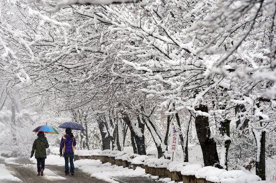  3일 많은 눈이 내린 충남 홍성군 용봉산 등산로를 등산객들이 오르고 있다. [연합뉴스]