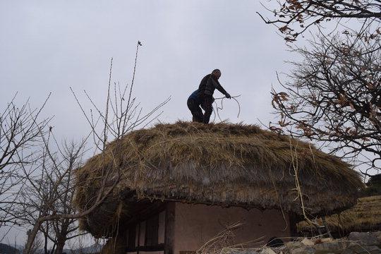 봄맞이 지붕 보수작업이 한창인 외암 민속마을 초가집.전희진 기자