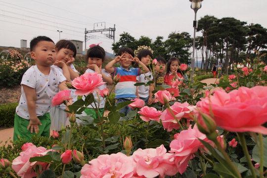 지난 22일 장미정원을 찾은 어린이들이 장미꽃 앞에서 포즈를 취하고 있다. 지난 22일 시작된 곡성세계장미축제는 이달 31일까지 섬진강 기차마을 일원서 열린다.
