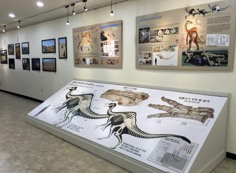 한국지질자원연구원이 개최하는 `한국-몽골 국제공룡탐사 기록과 성과 특별기획전`이 오늘 대전 유성구에 위치한 지질박물관에서 막을 올렸다. 이 특별전은 12월 31일까지 계속된다.  사진=한국지질자원연구원 제공