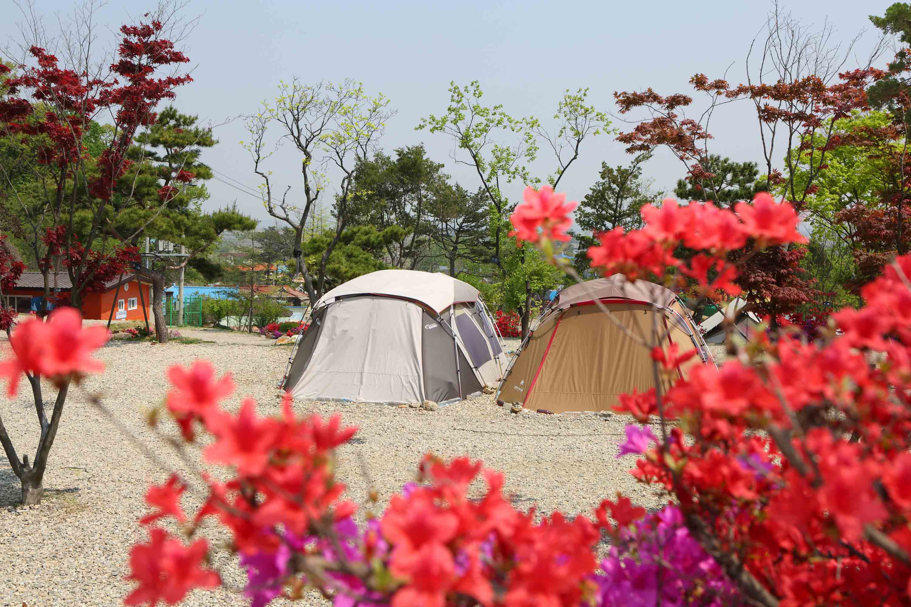 김포 한강오토캠핑장