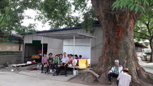 보은군 산외면 봉계2리 마을 어르신들이 28일 이 마을 청년회가 만들어 준 무더위 쉼터에서 휴식을 취하고 있다. 사진=보은군 제공
