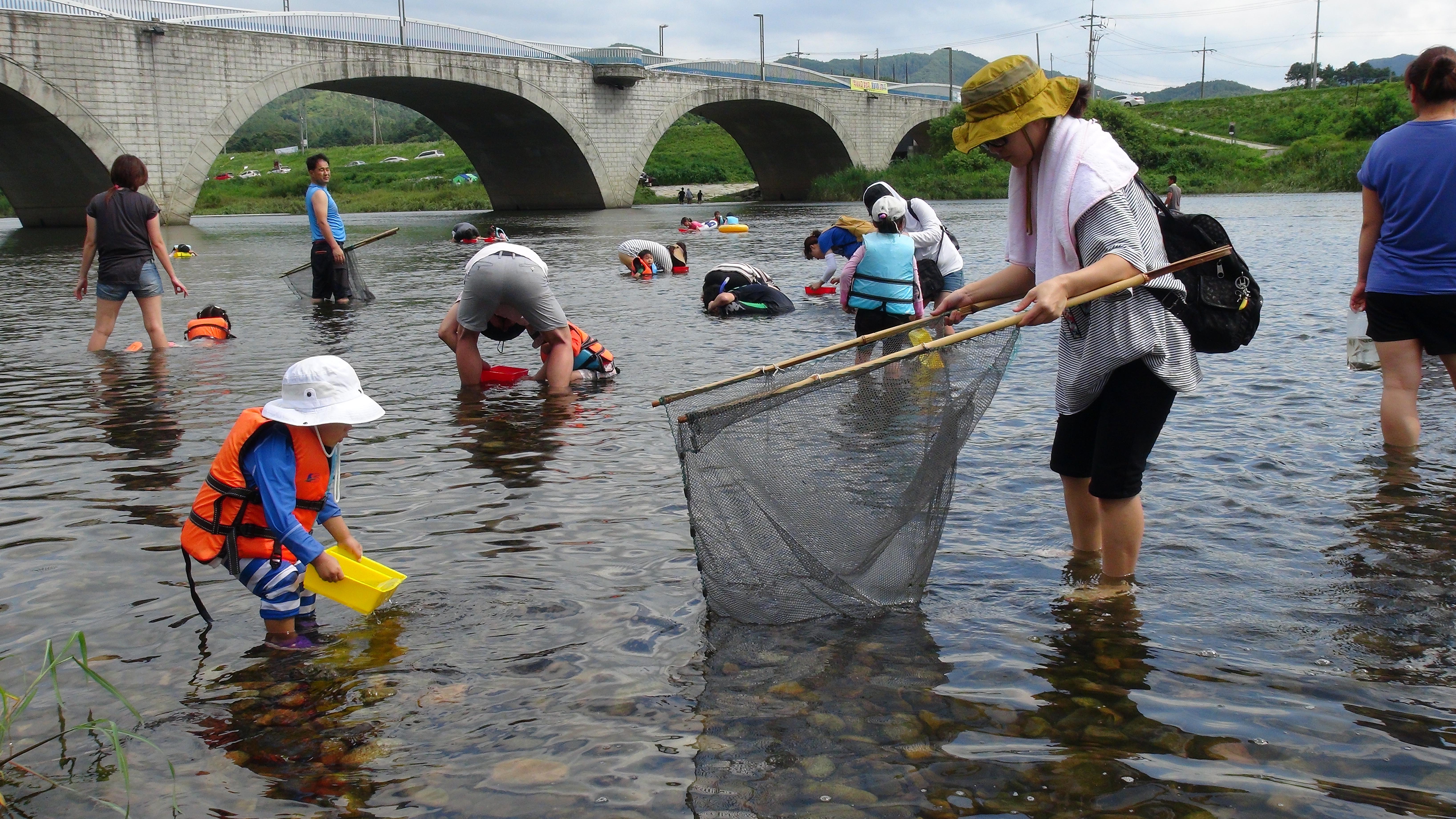 금강여울축제를 찾은 관광객들이 물고기를 잡고 있다. 사진=금산군 제공