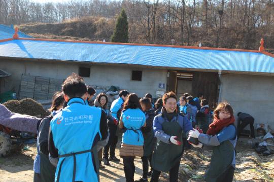 음성군과 한국소비자원 임직원 40여 명은 지난 1일 음성군 미산지구 마을과 다부내 마을에서 `사랑의 연탄 나눔 봉사활동`을 벌였다.            사진=한국소비자원 제공
