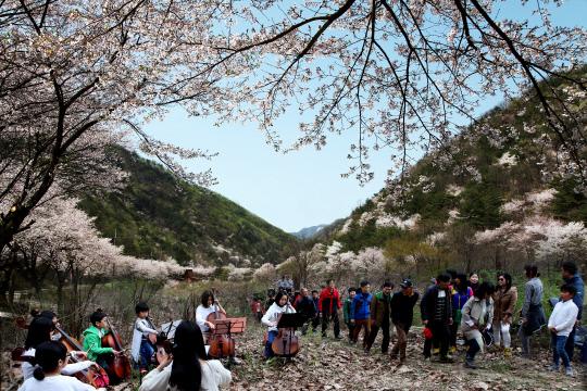 지난해 금산군 군북면 보곡산골에서 열린 `비단고을 산꽃축제` 모습. 사진=금산군 제공.
