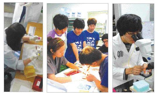 공주대 동물자원학과(사진 왼쪽과 가운데)와 충남대 동물자원과학부 학생들이 실험 실습을 하고 있다.  사진 제공=공주대·충남대
