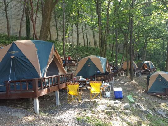 대전 중구 뿌리공원 캠핑장 모습. 사진=대전 중구 제공

