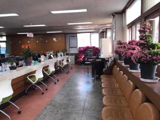 서천군 화양면이 면사무소 내부에 다양한 꽃들로 장식해 주민들을 위한 힐링 공간으로 변모시켰다. 사진=서천군 화양면 제공
