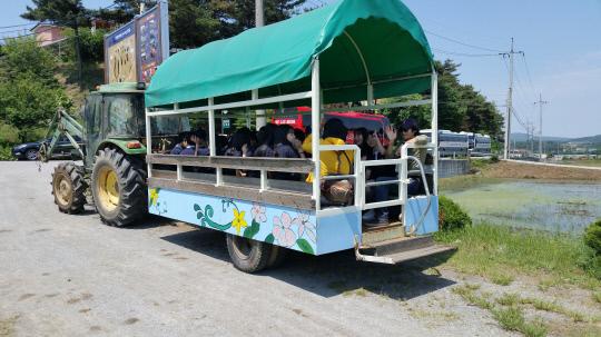 천안 오성중학교 학생들이 25일 홍성군 홍동면 문당환경농업마을에서 트랙터를 개조한 이동식 차량에 탑승해 농촌체험활동을 하러 가고 있다. 사진=농협 제공

