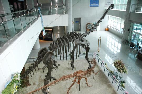 1층 거대한 청운공룡 (Chungwoon Dinosaur)
