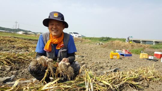 공주시 우성면 방문리에서 마늘 농사를 짓고 있는 박종민씨가 마늘을 수확하며 즐거워하고 있다. 사진=공주시제공.
