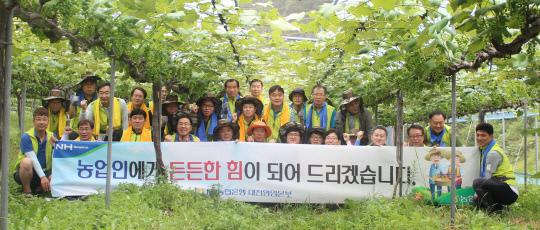 지난 24일 NH농협은행 대전영업본부 임직원들이 대전 동구 신상동 포도농가를 찾아 봉지씌우기 일손돕기를 진행했다. 사진=대전농협 제공

