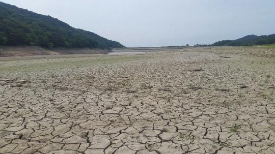 `저수율 0.1%` 서산 산수저수지가 지속된 가뭄으로 바닥이 거북등처럼 갈라져 있다. 사진=정관희 기자.
