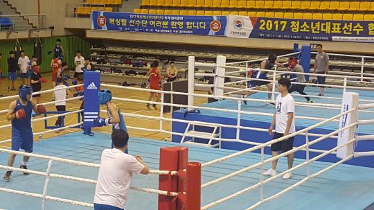 2017년 복싱 청소년 대표선수들이 복싱메이커인 청양군민체육관에서 20일의 일정으로 합숙훈련을 받고 있다.사진=청양군 제공
