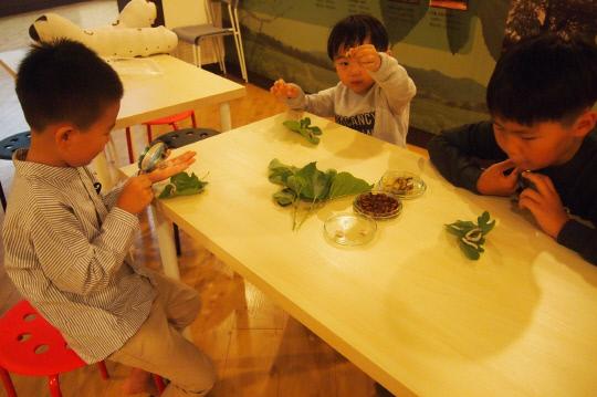 아이들이 박물관 내 마련된 `누에야 안녕`체험학습프로그램에 참여하고 있다. 
사진=한국잠사박물관 제공.
