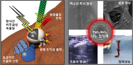 조영 및 접착효과를 갖는 나노 접착제 구조와 물성(왼쪽), 나노입자의 전자현미경 이미지와 각 물성을 이용한 대표 예시들(우). 사진=IBS 제공
