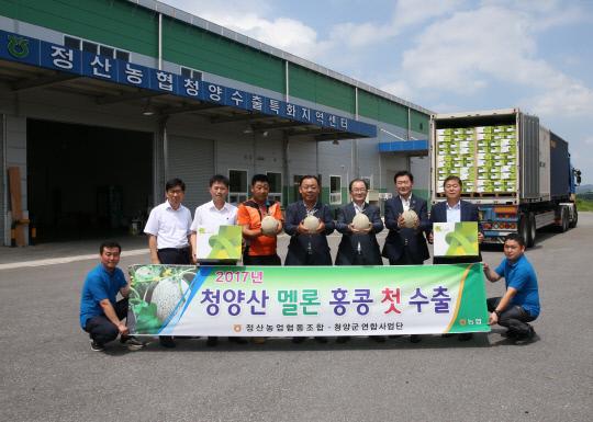 청정지역 청양에서 생산된 `칠갑마루 K-멜론`이 홍콩으로 첫 수출을 시작, 관계자들이 기뻐하고 있다.사진=청양군 제공
