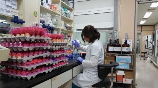 지난 10일 대전보건환경연구원에서 한 연구원이 유통 계란 성분 검사를 하고 있다. 사진=대전시 제공
