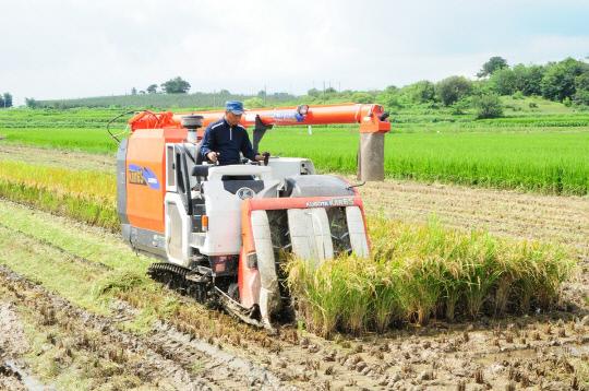 예산군 고덕면 지곡리 이명식(사진) 씨가 17일 오전 농기계를 이용해 벼 수확을 하고 있다. 사진=예산군 제공
