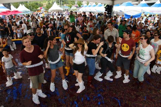 지난해 열린 영동포도축제에서 행사장을 찾은 방문객들이 음악에 맞춰 포도밟기 체험을 하고 있는 모습. 사진=영동군 제공.
