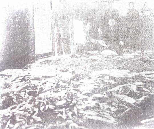 1920년대 대전어채시장에서 상인이 생선을 판매하고 있는 모습. 대전어채시장은 일본인 시마즈규타로(島津久太郞)가 세웠는데 대전중앙시장의 전신이다. 사진 = 대전시 제공
