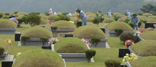 추석을 앞두고 10일 세종시 장군면 대전공원묘지에서 관계자들이 벌초 작업을 하고 있다. 신호철 기자

