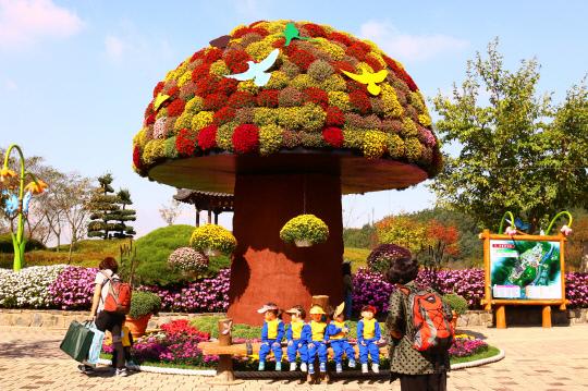 대전 오월드 `플라워 랜드`에서는 내달 1일부터 `국화 대축제`가 진행될 예정이다. 
