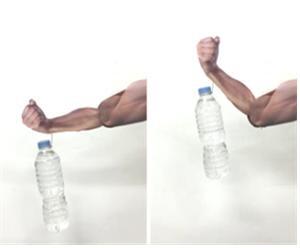 인공근육으로 움직이는 팔 모형. 사진=과학기술정보통신부 제공
