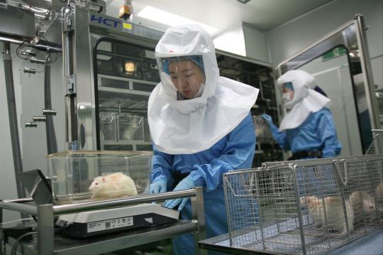 대전에 위치한 산업안전보건연구원 흡입독성연구센터 직원이 생쥐를 이용한 독성실험을 하고 있다.
사진=안전보건공단 대전지역본부 제공
