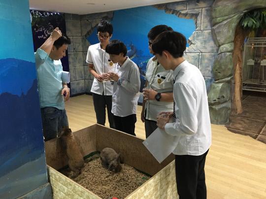 천안제일고 학생들이 지난 8월 천안 쥬쥬피아에서 동물 관련 실습을 수행하고 있다. 사진=천안제일고 제공
