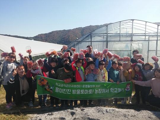공주신관초 학생들이 학교급식 납품 농가를 방문해 방울토마토 수확
