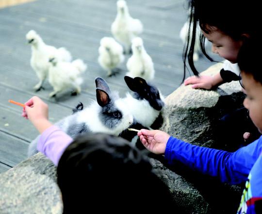 대전아쿠아리움에서 아이들이 동물 먹이주기 체험을 하고 있다. 사진=대전시 제공
