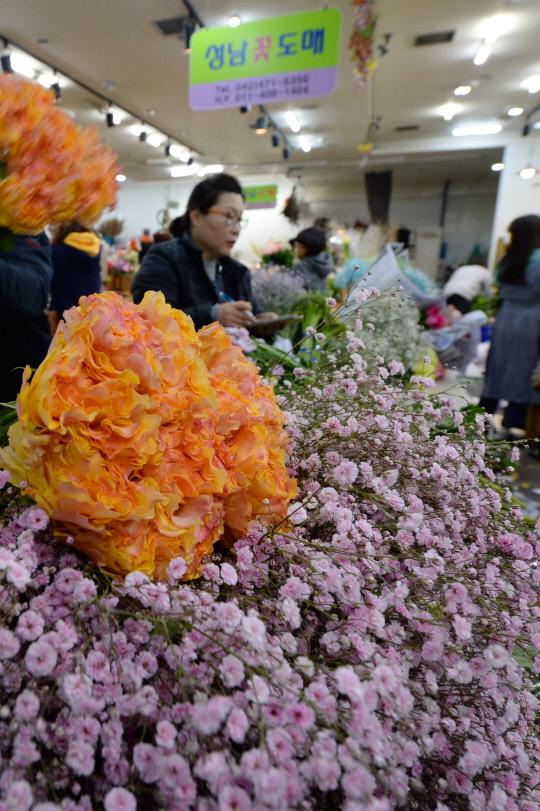 21일 졸업입학 시즌을 맞아 분주해진 대전시 서구 대전꽃도매시장을 찾은 손님과 상인들이 진열된 꽃들을 둘러 보고 있다. 안제원 기자
