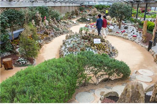 베어트리파크는 만경비원을 수십 종류의 다육식물을 한 곳에서 볼 수 있는 암석원으로 새 단장하고 관람객을 맞이할 예정이다. 사진=베어트리 파크 제공

