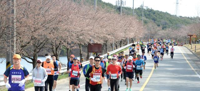 대전일보사와 서산시체육회가 공동 주최한 `제17회 서산전국마라톤대회`가 8일 서산종합운동장 일원에서 열려 참가 선수들이 봄꽃으로 물든 고남저수지 도로를 달리고 있다. 신호철 기자