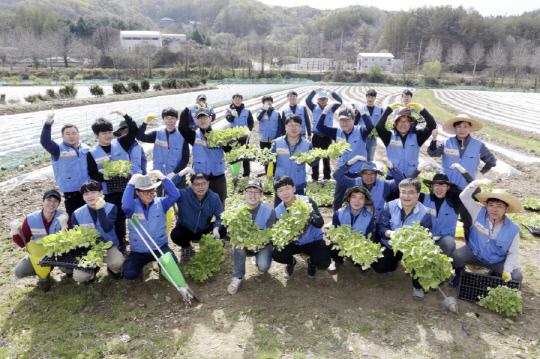 KT&G가 원료본부 및 R&D본부 임직원들과 함께 잎담배 농가를 돕기 위해 지난 13일 충북 청주지역에서 잎담배 이식 봉사활동을 실시했다. 사진=KT&G 제공
