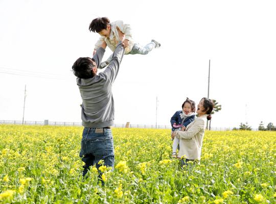 서산시 부석면 간월도 6만여㎡ 대지에 유채꽃이 만개한 가운데 한 가족이 유채꽃밭에서 즐거운 시간을 보내고 있다. 사진=서산시 제공
