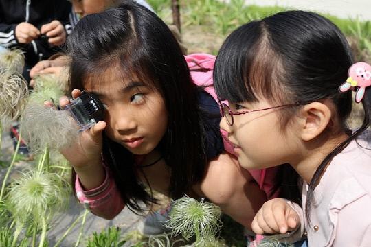 음성 능산초등학교는 23일 3-6학년 학생을 대상으로 마을교사와 함께하는 공동수업을 진행했다 사진은 학생들이  꽃 나무를 관찰 하고 있다.     사진=능산초 제공
