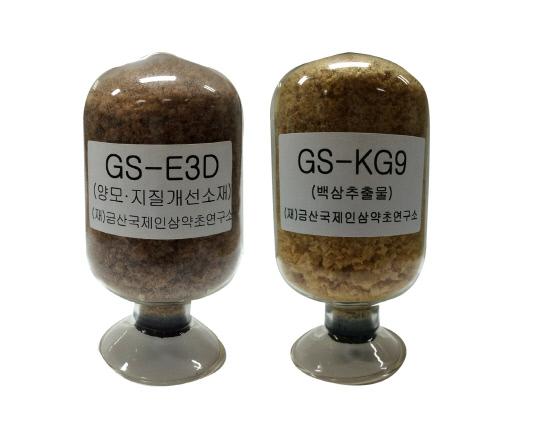 금산국제인삼약초연구소가 간기능 및 콜레스테롤 개선 신소재 개발한 GS-KG9(백삼)과 GS-E3D(홍삼가수분해추출물)을 모습. 사진=금산군 제공

