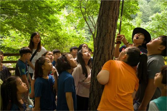 옥천군남초등학교 학셍들이 옥천장룔산 자연휴양림에서 숲 체험을 하고 있는 모습. 사진=군남초등학교 제공
