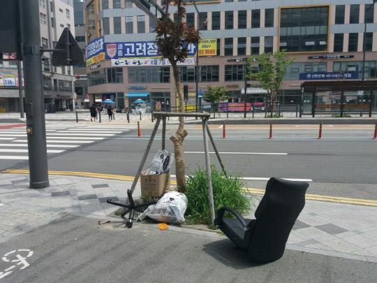 11일 오후 세종시청 인근  상가 입점자들이  버린 생활쓰레기들이  한누리대로 BRT도로변에 나뒹굴고 있다.  은현탁 기자
