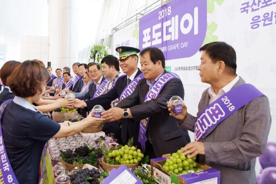 농협과 (사)한국포도생산자협의회는 8일 포도데이를 맞아 KTX 대전역에서 포도 소비촉진 행사를 개최했다. 사진=농협중앙회 제공
