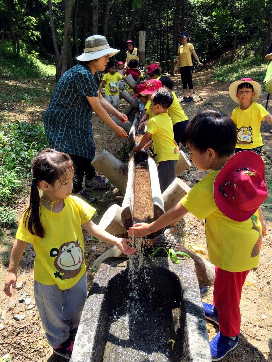 세종지역의 한 유치원생들이 파랑새유아숲체험원에 마련된 물놀이 시설에서 통나무속 물을 만져보며 신기해 하고 있다. 사진=한국산림복지진흥원 제공
