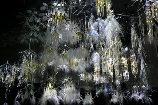 `빛나는 토양`, 2012, 혼합 매체, 비디오, 상호작용형 설치, 가변크기  사진=대전시립미술관 제공
